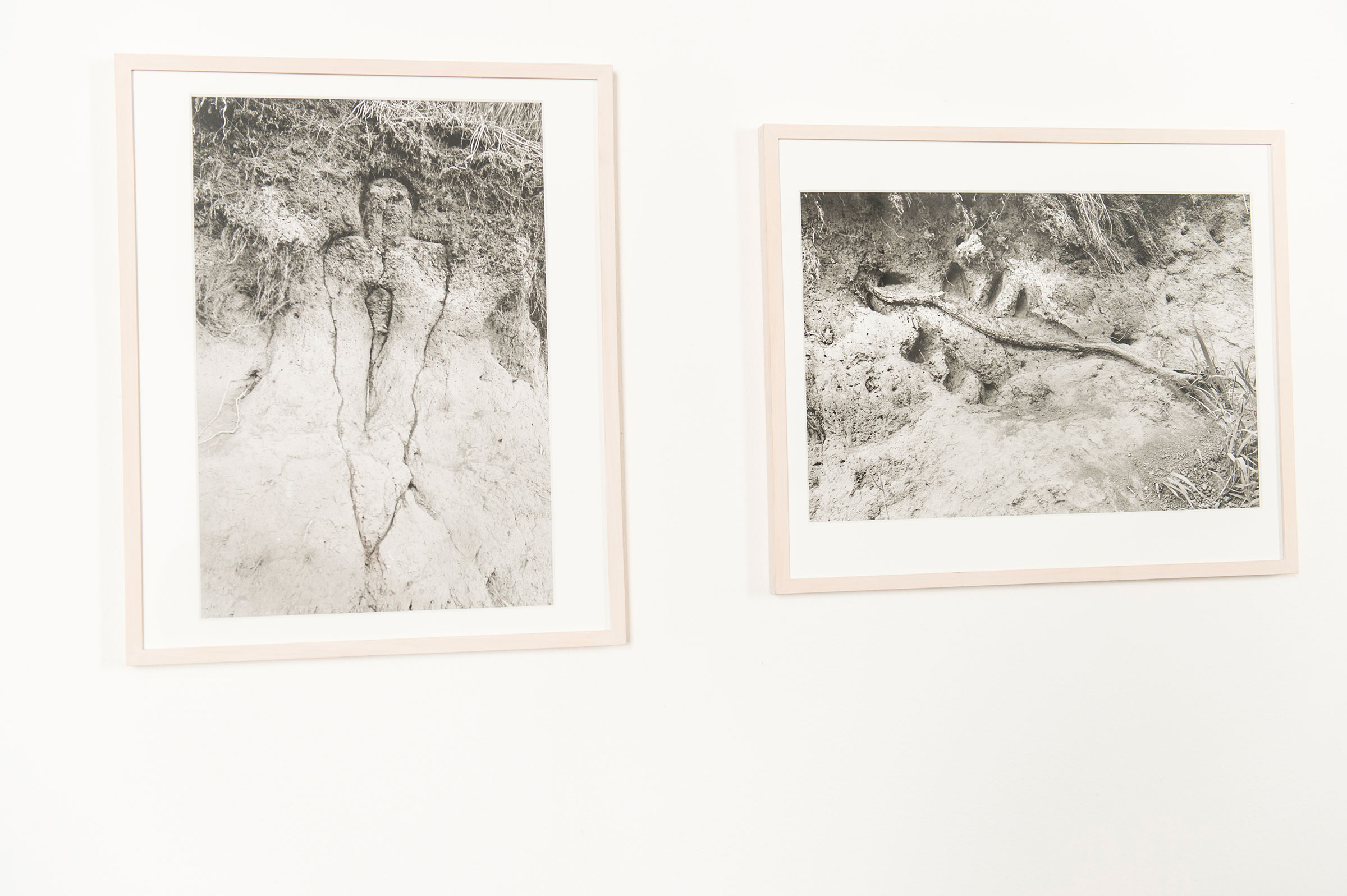 Ana Mendieta, Utitled, 1981